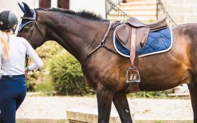 Comment bien choisir sa selle d’équitation ?