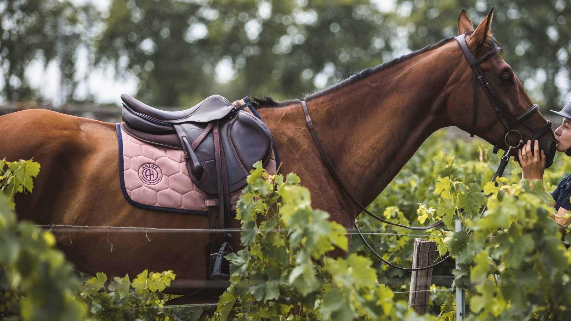 Selle de cheval de couleur turquoise, ensemble de sellerie en cuir pour adultes et jeunes enfants
