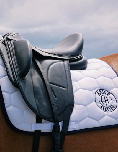 Selle de dressage